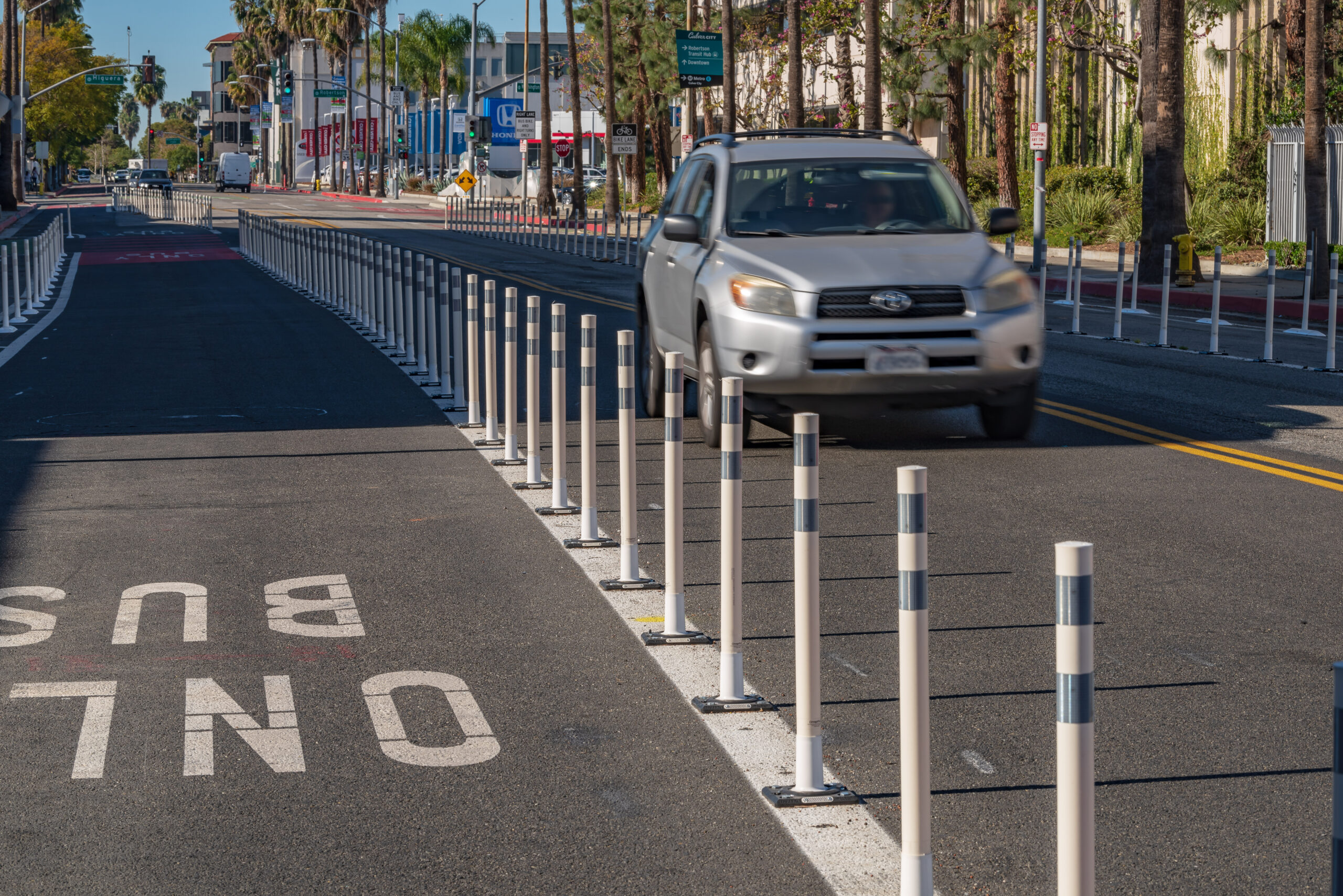 OmegaPost Delineator Posts